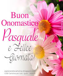 Cdb Cartoline Per Tutti I Gusti Cartolina Buon Onomastico Pasquale E Felice Buon Onomastico Buon Compleanno Onomastico