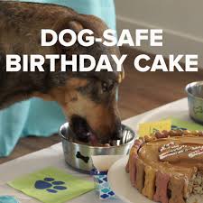 Every body have a soft corner for cats. Petsmart Petsmart Kitchen Doggie Birthday Cake Facebook