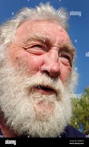 Professor David Bellamy Stock Photo