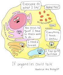 If Organelles Could Talk Beatrice The Biologist Biology Classroom Biology Jokes Science Cells