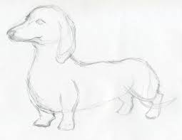 Break everything down to simple components, then you can put those components together in time to create any animal in any pose you want. Easy Pencil Drawing Easy Animals To Draw Novocom Top