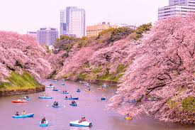 Beberapa tip untuk meningkatkan tanaman pada akhir musim. Kapan Waktu Terbaik Wisata Ke Jepang Tips Liburan Di Jepang Jalan Jalan Ke Jepang