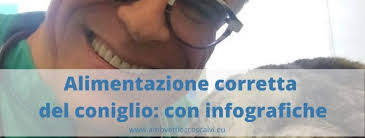 Ecco una guida utile con infografiche da scaricare e consultare velocemente. Coniglio Archivi Vet Fiocco Scalvi