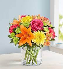 Maybe you would like to learn more about one of these? 167526 Vibrant Beauty By Friday Z Flower Shop