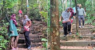 We did not find results for: Pertama Kali Hiking Hutan Pendidikan Bukit Gasing Pantai Dalam Sunah Suka Sakura