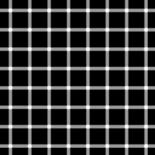 Image result for illusion pictures