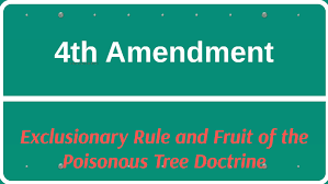 We did not find results for: 4th Amendment By Chelsea Petersen