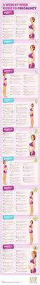 Guide To Pregnancy Week By Week Infographic Baby Stuff