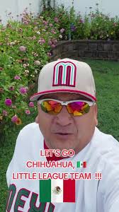 Chihuahua Little League Team: Chase Your Dreams!