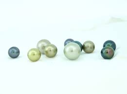 Search for tahitian pearl earrings on topwebanswers.com! Perle De Tahiti Wikipedia
