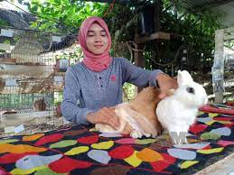 Karakter animasi sendiri sekarang telah berkembang yang dulu mempunyai prinsip sederhana sekarang menjadi beberapa jenis animasi yaitu. Lumayan Ternak Arnab Baka Hiasan