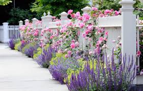 A pretty garden fence in white with a partial red fence behind it and tall, whimsical flowers waving in the breeze. Wallpaper White Summer Flowers The Fence Roses Spring Fence Yellow Garden Beautiful Pink Blue Flower Garden Images For Desktop Section Cvety Download