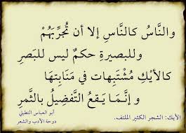 Pin By Rajaa Hs On Words Words Quotes Arabic Poetry
