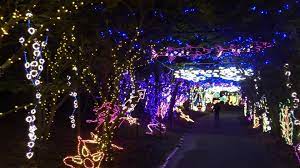 The distinctive patterns formed by the leaf margins make these plants stand out in the garden. Wkrg Mobile S Bellingrath Gardens Named One Of Usa Today S Best Holiday Light Displays