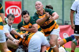 Springbok is a type of antelope that belongs to the bovid family. Springbok Legends Hit Portugal Rugby World