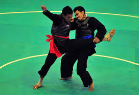 Afbeeldingsresultaat voor pencak silat