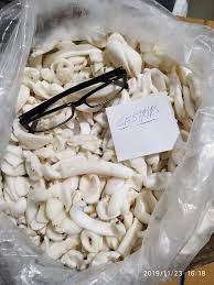 #cuttlefish cannot see in colour, however they can see polarised light. Cuttlefish Strip Available San Farm Sea Food India Facebook