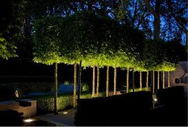 Image From Http Www Lightcorporation Com Upload Pic Item B8719e76c93b64f6a561fb75c8bc6ad6 Cfs09 4a Jpg Bahce Sanati Bahce Sanat