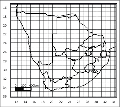 Image result for Syncolostemon bracteosus