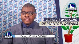 We did not find results for: Biblical Meaning Of Plants In Dreams Dream About Plants Youtube