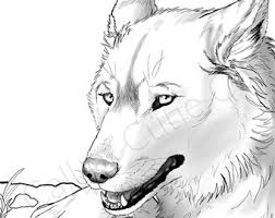 Your child will love coloring his favorite zoo animals. Wolf Coloring Page Etsy