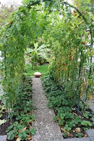 Bad Durkheim Tomatenlaube In Einem Privatgarten Tomato Pergola In A Private Garden Garten Privatgarten Und Bauerngarten