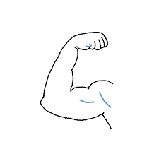 We did not find results for: How To Draw Arm Muscles Step By Step Easy Drawing Guides Drawing Howtos