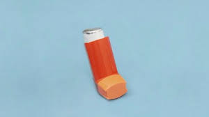 This hair color chart reads from warmest tone to coolest tone. Asthma Inhalers Names And Types Patient