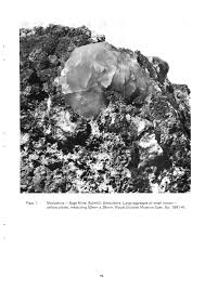 Journal of the Russell Society, Vol 1 No. 2