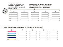 Genetic Drift Activity Ppt Download