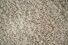 Frequent special offers and discounts up to 70% off for all products! Frieze Carpet Pros And Cons