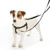 Position the neck strap high on your pets neck and fasten the quick snap buckle. 1