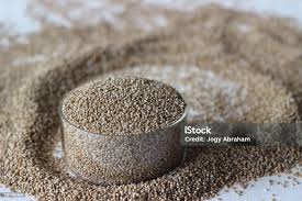 Image result for Paspalum scrobiculatum