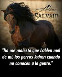 Pin De Guadalupe Morales En Mas Cabrona Que Bonita Frases De Caballos Frases De Motivacion Personal Frases Nativas