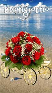 Ti propongo in questo post alcune tra le immagini più belle: Immagini Buongiorno 1460 Easter Flower Arrangements Beautiful Flowers Beautiful Rose Flowers