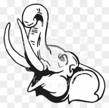 Elephant walking on wet road. Elephant Head Drawing Side Free Transparent Png Clipart Images Download