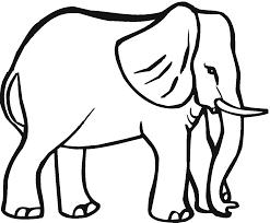 Male Elephant Coloring Pages Elephant Coloring Page Animal Coloring Books Animal Templates