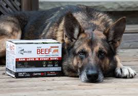 Instinct is nature's variety grain free line. K9 Instinct Blog K9 Instinct Holisitic Dog Health Care Blog