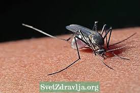 Sebelum ni negara kita pernah berdepan dengan banyak wabak berjangkit yang berpunca dari sebaran negara luar. Zoonoses Penyakit Yang Paling Serius Dan Biasa Ditularkan Oleh Haiwan Kecergasan 2021