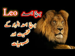 Make sure to clutch it gently but firmly like you're holding on to a baby bird. Leo Personality Leo Star Burg E Asad Hindi Urdu Zodiac Memes