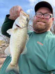 Can anyone post some common bottom rigs they use?