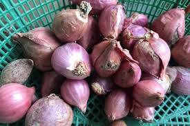 Pedagang menjajakan bawang merah di pasar induk kramat jati, jakarta, selasa (2/4/2019). Kurang Pasokan Harga Bawang Merah Melonjak Ekonomi
