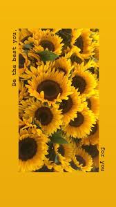 Maybe you would like to learn more about one of these? Sunflower Aesthetic Wallpapers 4k Hd Sunflower Aesthetic Backgrounds On Wallpaperbat