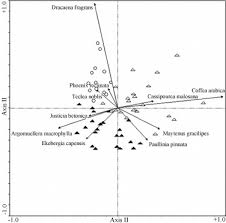 Image result for Argomuellera