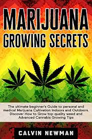 Cannabis encyclopedia online the cannabis encyclopedia: 83 Best Marijuana Cultivation Books Of All Time Bookauthority