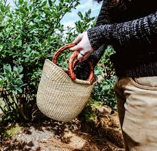 Check spelling or type a new query. Mini Farmers Market Basket Ghana Bolga Ushopper Basket Bag African Market Sold By Ani Artisanal On Storenvy