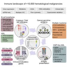 Image result for Hematologic Cancer