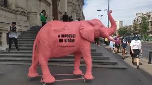 În broșură veți găsi următoarele informații: Curtea De Apel A Fost VizitatÄ In 10 August De Elefantul Roz Muzica Instantelor