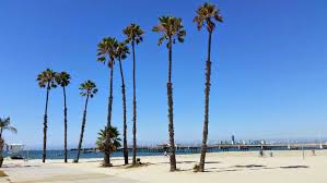 Maybe you would like to learn more about one of these? Long Beach Homes For Sale 142 Long Beach Ca Houses