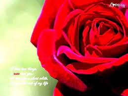 Usher Don T You Remember You Told Me You Love Me Youtube